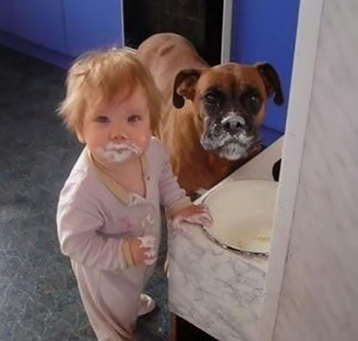 funny-boxers-dogs-6-5b2a159277d89__700.jpg