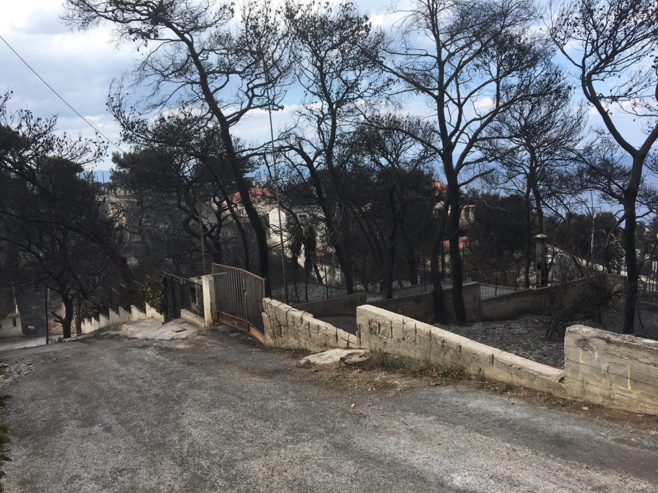 rafina22333.jpg