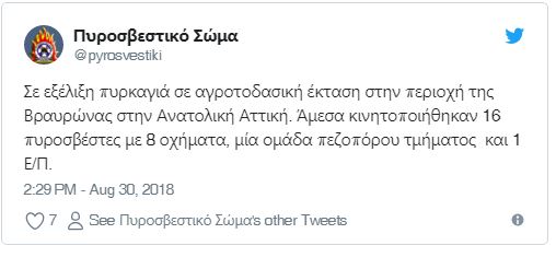 bravr