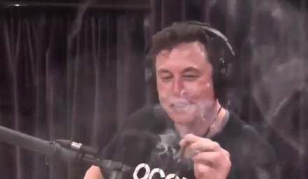 elonnn8888