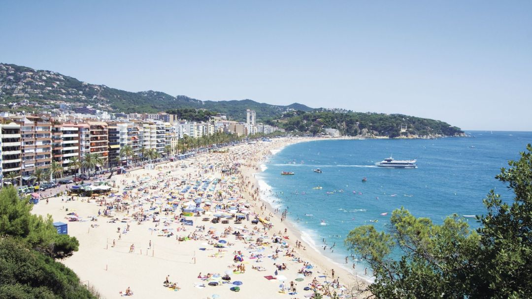 lloret.jpg
