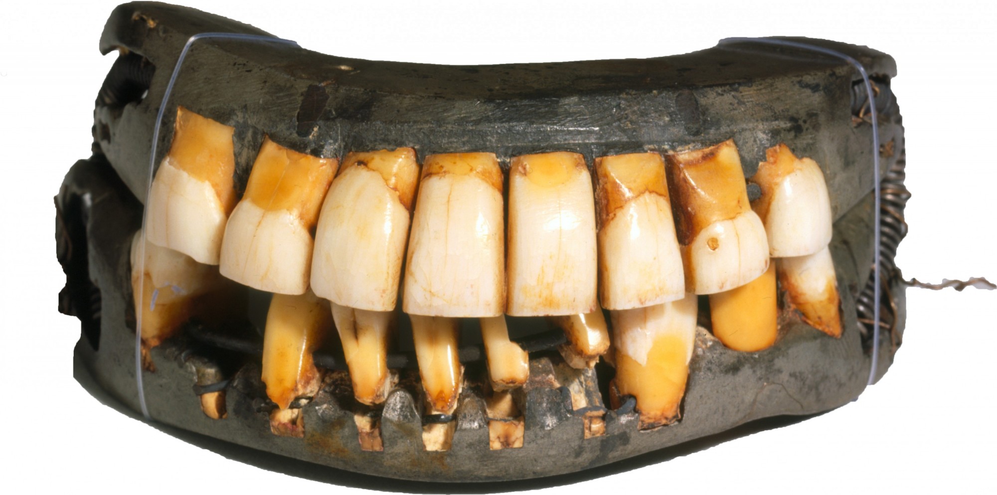 web-teeth-mvla-2.jpg