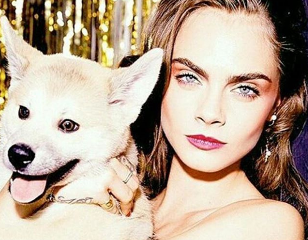 cara1.PNG