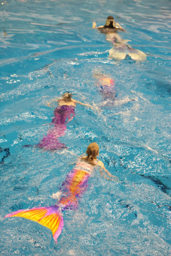 MERM00.jpg