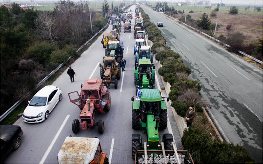agrotee4.jpg