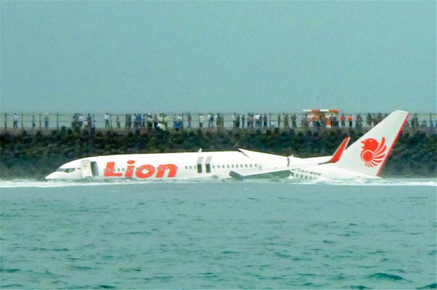 lion44444.jpg