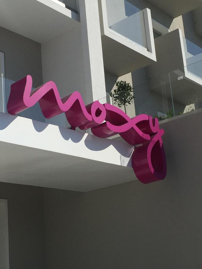 moxy.jpg