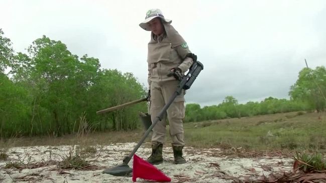 sw34555 | Lamianow.gr