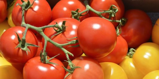 Σε ποια χώρα και γιατί η ντομάτα καταγράφει άλμα 700% στις τιμές της