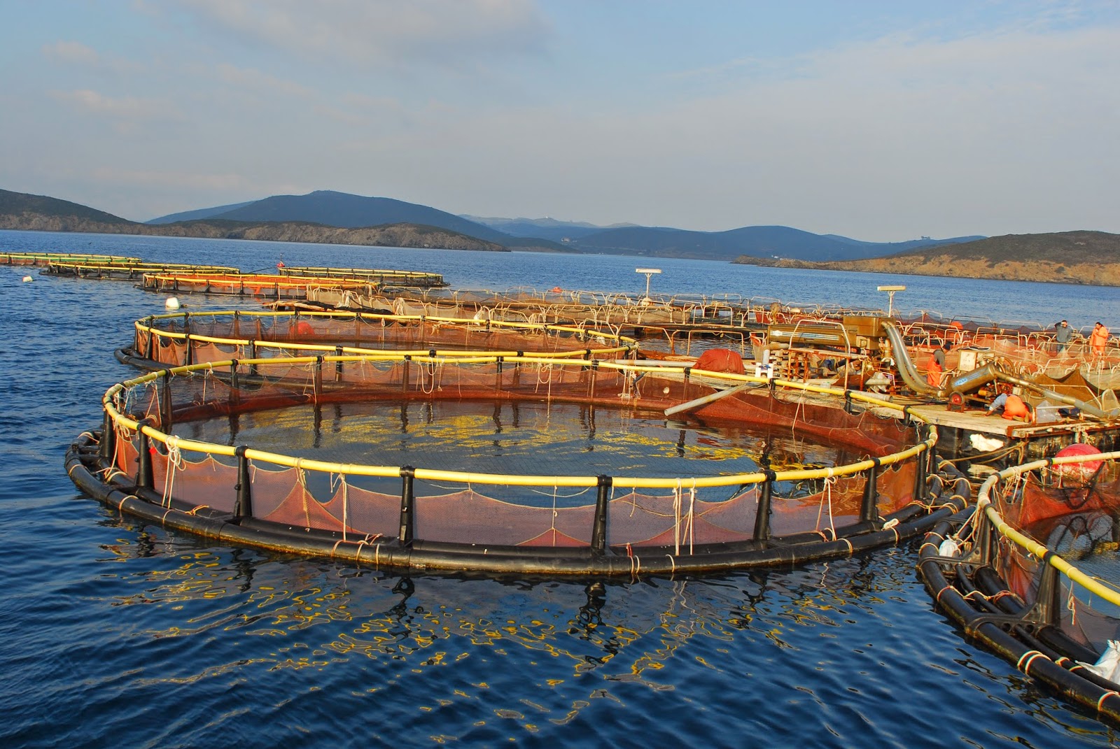 Οι επενδύσεις το νέο μεγάλο στοίχημα για Σελόντα – Νηρέα