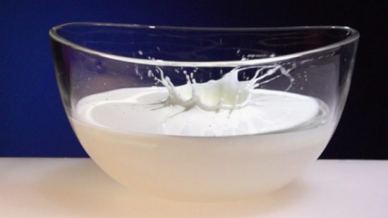 FAZ: Σε ελεύθερη πτώση οι τιμές γάλακτος