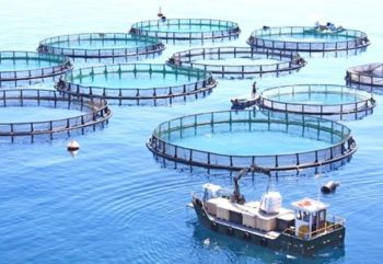 Σε αμερικανικά χέρια πλέον η Ανδρομέδα