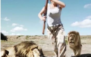 Το λιοντάρι πήρε εκδίκηση από… ατρόμητη γυναίκα κυνηγό σε σαφάρι