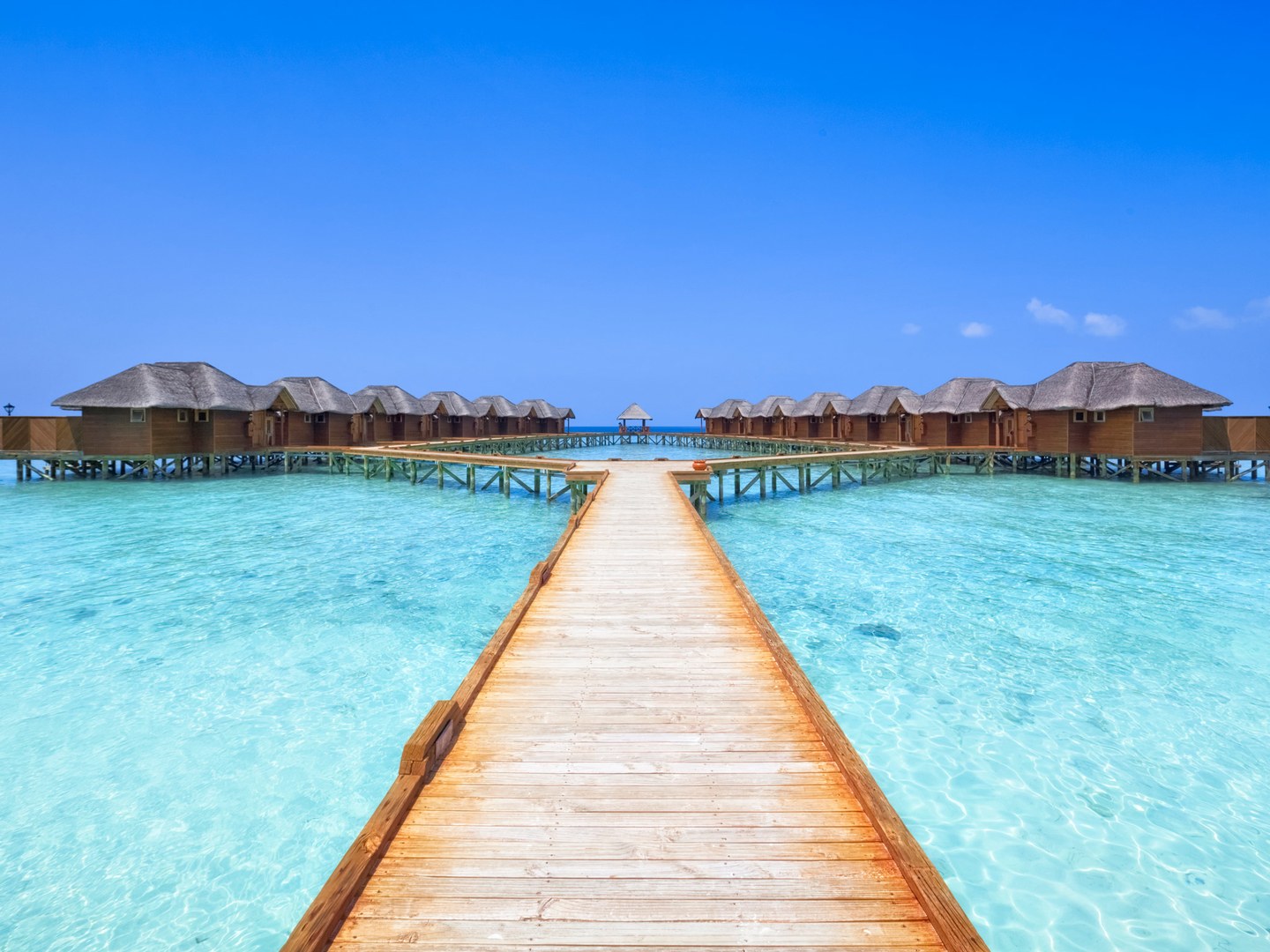 Πώς είναι να τηλε-εργάζεσαι από τις Μαλδίβες – Μια… συνηθισμένη μέρα! (pics)