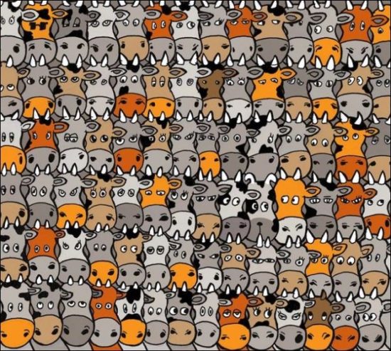 Νέο κουίζ-μανία: Βρείτε τον… σκύλο!