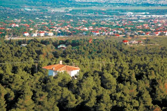 Όμηροι των δασικών χαρτών οι ιδιοκτήτες οικοπέδων σε Άγιο Στέφανο και Άνοιξη