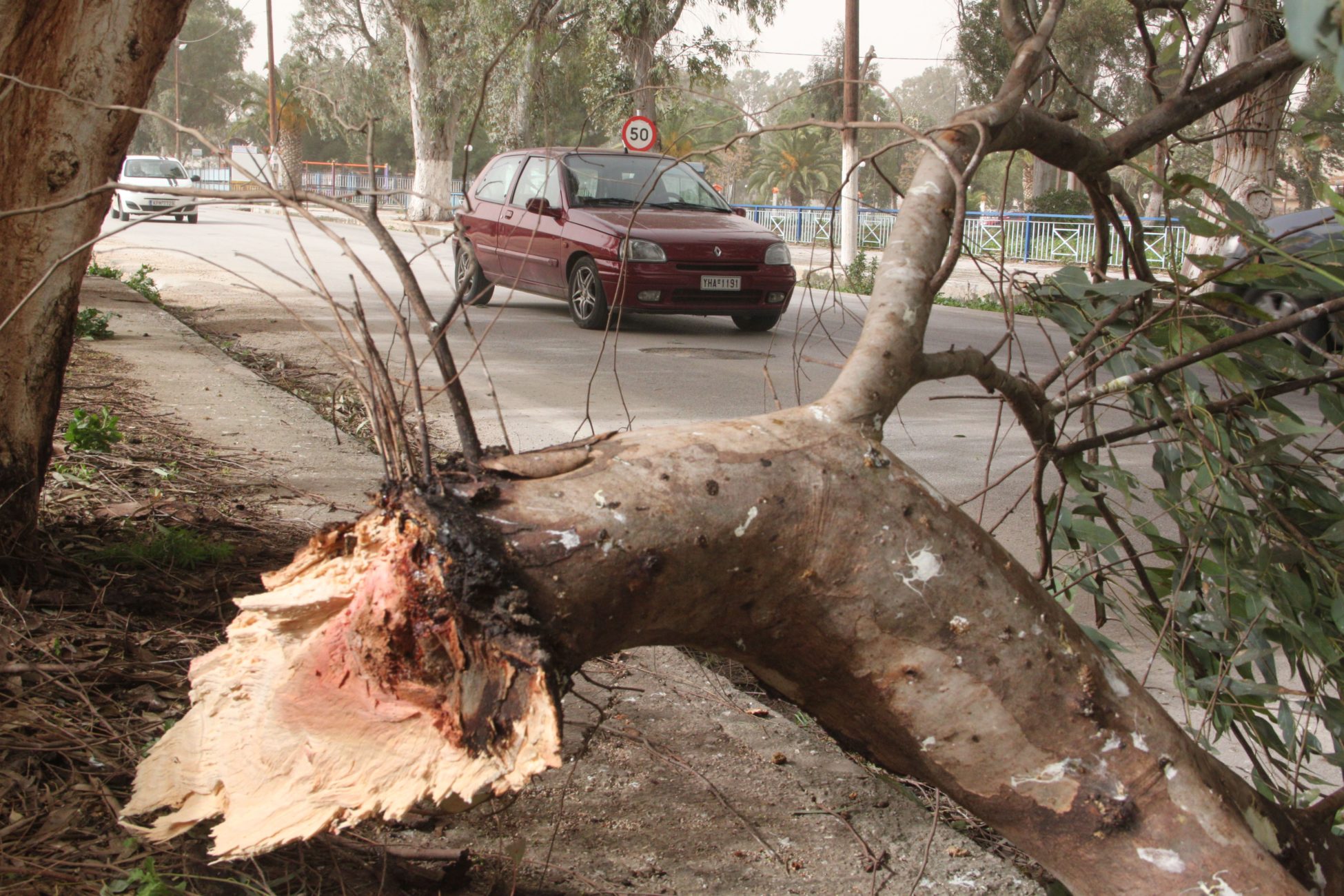 Καταστροφές από καταιγίδα και ισχυρούς ανέμους