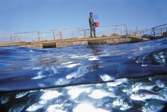 Σελόντα: Οι προοπτικές της κατά το ενημερωτικό δελτίο