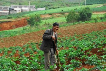 Η μεγάλη προσπάθεια της Κίνας να αποφύγει μια διατροφική κρίση