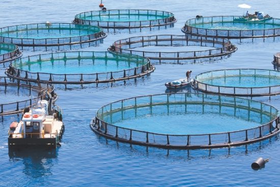 Οι τράπεζες θέτουν «πωλητήριο» σε Σελόντα και Νηρέα