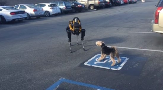 Όταν σκύλος συναντά ένα… ρομπότ (ΒΙΝΤΕΟ)