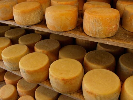 Πειραιώς: Πρόγραμμα Συμβολαιακής Κτηνοτροφίαμε τη γαλακτοκομική επιχείρηση Στειακάκης Κωνσταντίνος