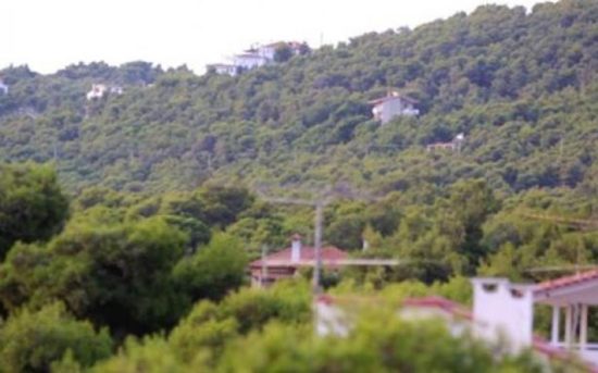 Νέα παράταση έως τις 25 Σεπτεμβρίου για τους δασικούς χάρτες