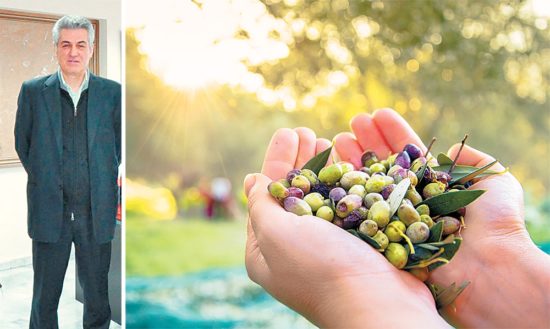 Στέργιος Τσαγκούλης (INTERCOMM FOODS): Από τη Λάρισα κατακτά τον κόσμο με ελιές και φρούτα