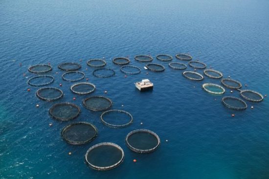 Αύξηση τζίρου αλλά ζημιές στα EBITDA εμφάνισε στο 9μηνο η Σελόντα