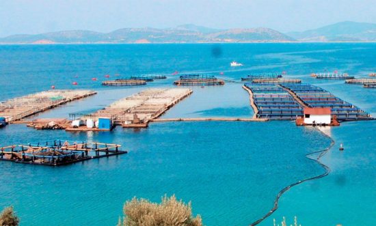 Σελόντα: Αποχώρηση του Οικονομικού Διευθυντή