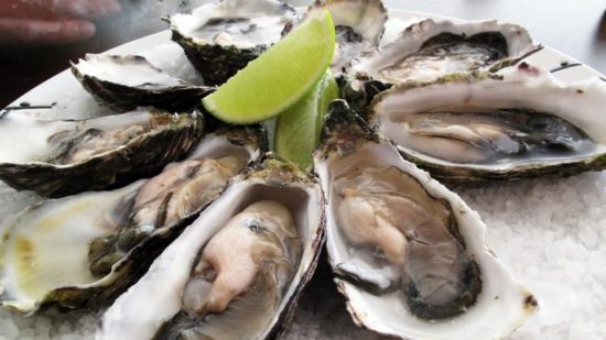 Κατασχέθηκαν 104 κιλά όστρακα στη Μυτιλήνη