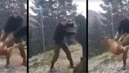 Ταυτοποιήθηκαν οι στρατιώτες που κακοποίησαν βάναυσα σκυλάκι