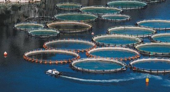 Νηρεύς-Σελόντα: Οι προϋπόθέσεις για το deal με την Andromeda