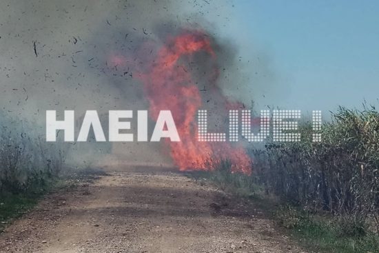 Φωτιά στην περιοχή Σπιάντζας του Πύργου Ηλείας