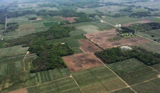 Οδηγός επιβίωσης για αγρότες και κτηνοτρόφους με εκτάσεις σε δασικούς χάρτες
