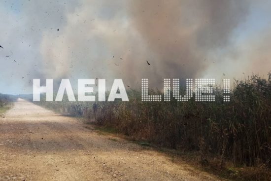 Υπό μερικό έλεγχο η φωτιά στην Σπιάντζα Πύργου Ηλείας