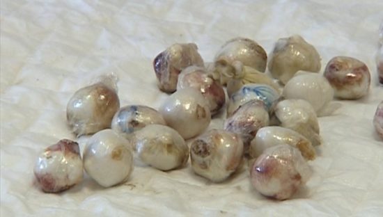 Κατάπιαν τα ναρκωτικά, για να τα μεταφέρουν σε άλλη φυλακή!