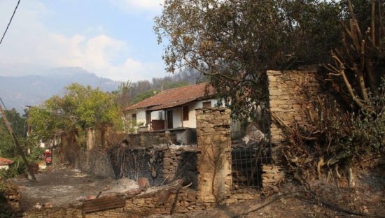 Σε 3.130 ανέρχονται οι αιτήσεις των πυρόπληκτων