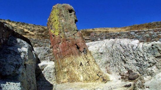 Συνελήφθη τουρίστρια που έκλεψε κομμάτια από το απολιθωμένο δάσος στη Λέσβο