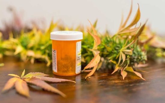 «Βροχή» επενδυτικών προτάσεων για φαρμακευτική και βιομηχανική κάνναβη