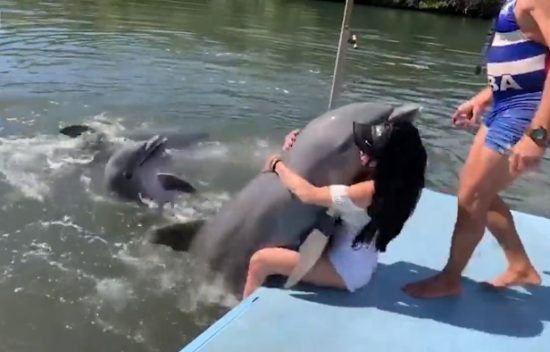 Απολαυστικό βίντεο: Όταν και τα δελφίνια έχουν… ορεξούλες