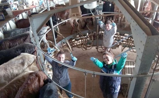 Τα ψηφιακά κατσίκια των Τρικάλων