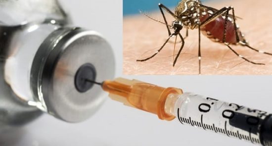 Νέο εμβόλιο κατά της ελονοσίας, σώζει μισό εκατομμύριο ζωές το χρόνο!