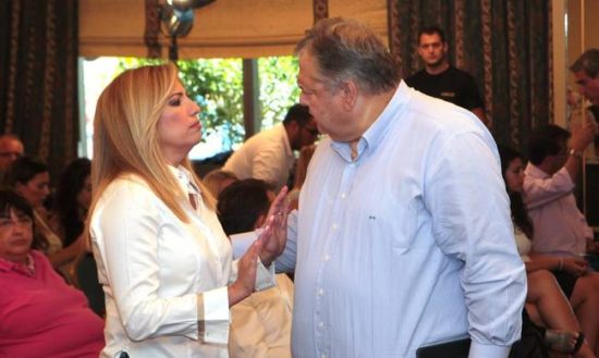 Κρίσιμες συνεδριάσεις στο ΚΙΝΑΛ μετά την αποπομπή Βενιζέλου