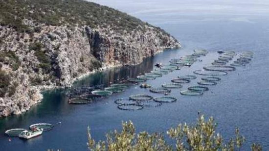 Η Σελόντα πρωταγωνιστεί σε μια κορυφαία αθλητική εκδήλωση