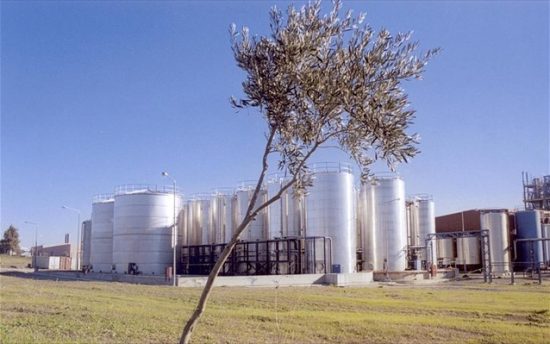 Το «φαινόμενο της πεταλούδας» και η ελαιουργία Μινέρβα