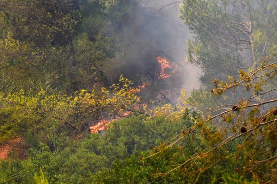 Δασικές πυρκαγιές: Ποιο είναι το φετινό αποτύπωμα στην ατμόσφαιρα και στην ποιότητα του αέρα (γραφήματα + pics)