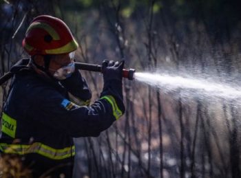 Πυρόπληκτοι: 528 δικαιούχοι έλαβαν αποζημιώσεις πάνω από 3,7 εκατ. ευρώ (vid)