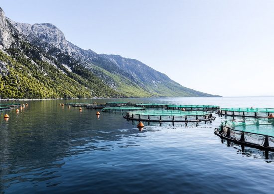 Νηρέας: Στα €51 εκατ. το συνολικό τίμημα για τις παραγωγικές εγκαταστάσεις