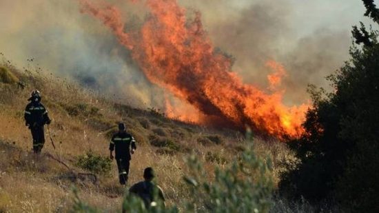 Υπό έλεγχο η πυρκαγιά στην Τιθορέα